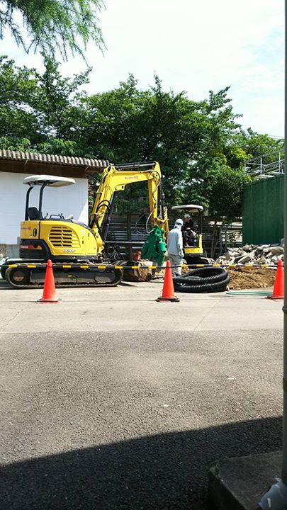 ここ数日、雨に見舞われておりますが、涼しくて助かります。